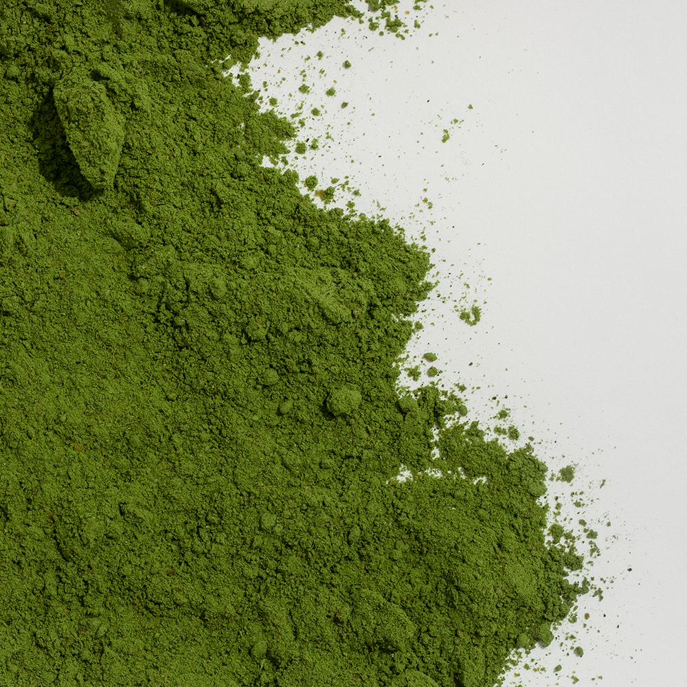 The Power of Chlorophyll